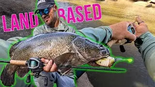 Murray Cod fishing! Land Based WILD country Australia