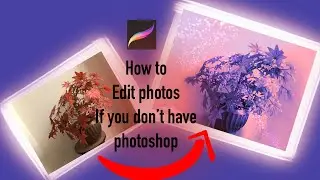 How to edit Photos in Procreate (if you don’t have photoshop!)  | #procreatewithanika