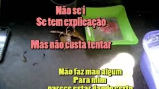 PULVERIZAR PE DE JABUTICABA COM ÁGUA E AÇÚCAR MAIS JABUTICABA.
