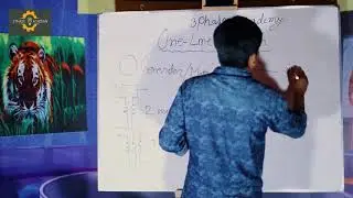 One Line Diagram ( Bangla Version )