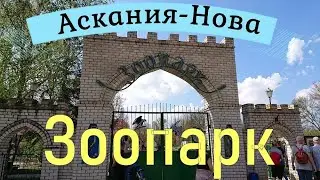 Аскания - Нова.  Зоопарк.  Май, 2021 год.