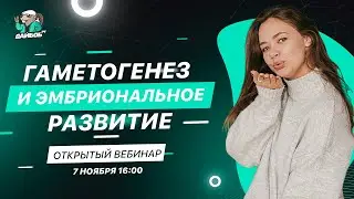 Гаметогенез и эмбриональное развитие | Биология ЕГЭ 2021 | ДАЙБОБРУ