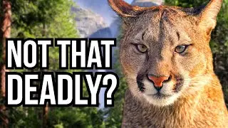 3 Animals That Aren't As Deadly As You Might Think