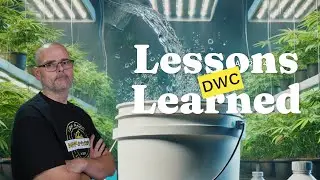 Top Lessons I’ve Learned Growing in DWC #marshydro #ts1000 #fce3000 #vg80