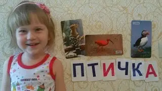 ВЕСЕЛО ИЗУЧАЕМ ПТИЦ. КОРМИМ ПТИЧЕК КОНФЕТАМИ. Карточки Домана. Умница. Вундеркинд с пеленок. Дети.