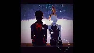 Gwen Stacy and Miles Morales/Spider-Man Across the Spiderverse