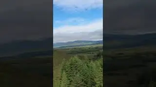 Mayo Mountains - June 2022