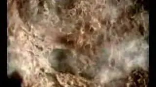 antireklama.wmv