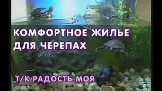 Комфортное жилье для черепах -  т/к Радость моя, 2009 г