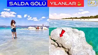 Türkiye's Maldives Salda Lake and Snake Facts!!! THERE ARE MANY