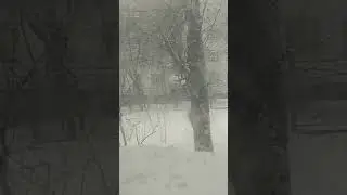 Москву заметает снегом. Метель.