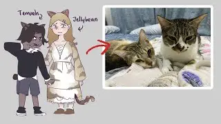 personifying our pets w/ discord pals