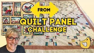🐤What I Did With this Quilt Panel🐤