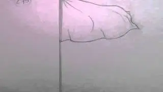 Флаг - 2-е задание на курсах Саши Дорогова
