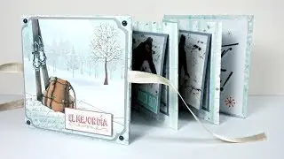 Álbum Acordeón simple 