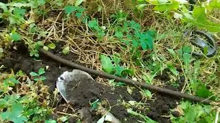 Коп в заброшенной деревне.День второй.