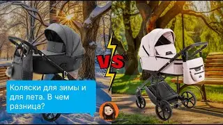 Коляски для лета и для зимы: в чем разница?
