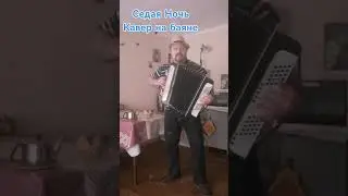 Группа Ласковый Май. Юрий Шатунов. Седая ночь. Кавер на баяне. 