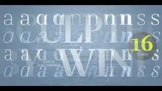 Gwyner Fonts from Typomancer