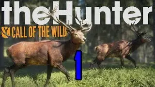 Прохождение игры Thehunter call of the wild. #1 Первая добыча и хитрый лис!