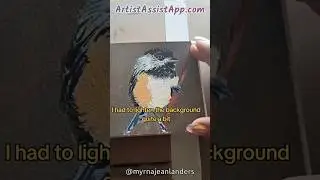 Free painting and drawing assistant app 🎨🖌️ ArtistAssistApp