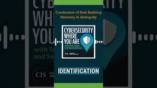 Gain expert insights from Lisa Young, Senior Metrics Engineer at Netflix. #cybersecurity #podcast