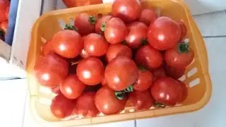 Томатный суп и Курочка с овощами