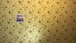 НЕ ПРИШЕЛ НА ЗАПИСЬ РОЛИКА