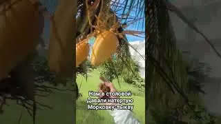 24 марта 2024 г.