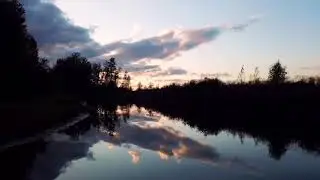 Отражение Т.Фоменко