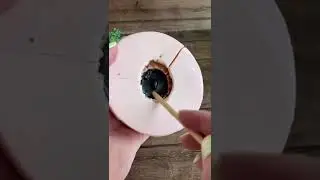 Мне приходится скрываться ❌ 