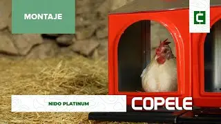 Nido Platinum - Montaje | Copele