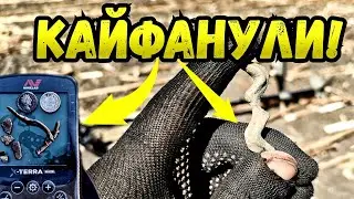 ФАРТОВІ ОБНОВКИ! Знайшли гарні знахідки з minelab x-terra #minelab #коп #пошукзметалошукачем #азарт