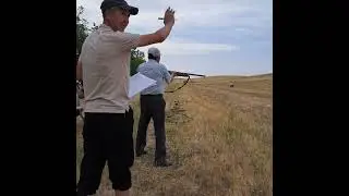 Таамай Атуу