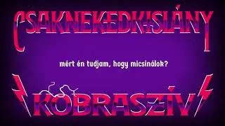 Csaknekedkislány - Király úr