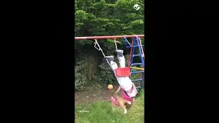 Swinging little girl and a cat #shorts