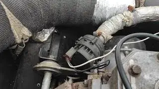 Тайга Атака