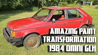 Restoring the Paint on My 1984 Dodge Omni GLH | Buffing and Polishing Old Paint