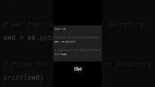 Using the os module to get the current working directory 