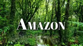 AMAZON - The World's Largest Tropical (Rainforest)