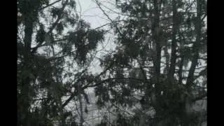 THE STORM