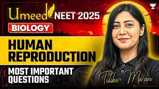 NEET 2025: Human Reproduction | Most Important Question | NEET Biology | Tulika Jha