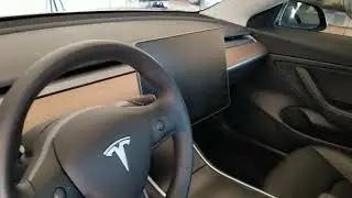 Tesla Model 3 Screen Flickering and Window Going Up and Down #3