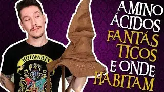 AMINOÁCIDOS FANTÁSTICOS E ONDE HABITAM | Bioquímica para Ensino Superior