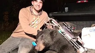 2022 Fall Black Bear Hunt - Tag #2 - Short Clip