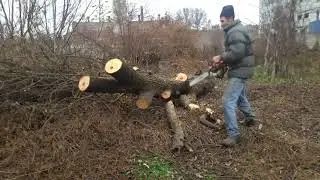 Штиль 260 в работе.