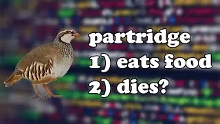 Partridge in a Pear Tree