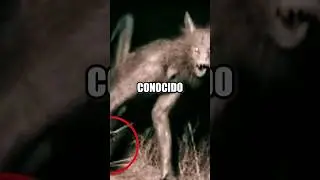 NO podían creer lo que veían...