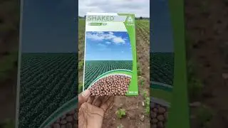 शाकेद खरपतवारनाशक सोयाबीन || Shaked Adama Soyabean || #a2zfarming || शकेद खरपतवारनाशक सोयाबीन