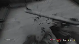DayZ IntenZ / Serverwipe / 29.07.2022